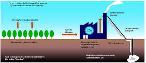 Energies | Free Full-Text | The Review of Carbon Capture-Storage ...