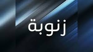 دلع اسم زينب القاب دلع في زينب تدليع باسم زينب 2020 صقور الإبدآع