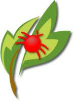 University of north carolina at chapel hill. Pisgah Pest Control Careers And Employment Indeed Com