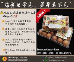 What is steel and how is it made? é¸¡è›‹è™½å¸¸è§ å·®å¼‚çœ‹ä¸è§ ç¬¬ä¸€é›† Eggspert Simpang Renggam Facebook