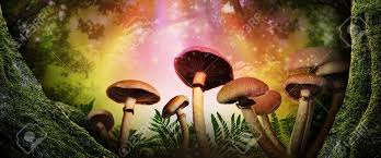 Faeries, cob, castles & magic the world is full of magical creatures patiently waiting for our wits to grow sharper. Fantasy World Mushrooms Lit By Magic Light In Enchanted Forest Banner Design Stock Photo Picture And Royalty Free Image Image 160352212