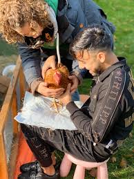 Tiergestutzte Padagogik In Der Pus Ii Huhner Hasen Und Meerschweinchen Peter Ustinov Schule