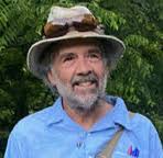 Opinion: Introducing the Ozarks Oracle and her bold predictions as  translated by a humble scribe