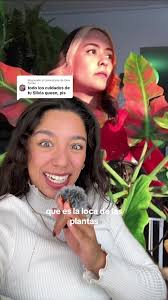 Respuesta a @Deiv Torres philodendro rojo ❤️✨ #plantas #veyotas  #cuidadodeplantas #philodendrosilvia @Chavitaloca