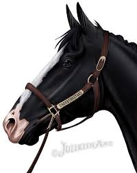 Underthestars By Jullelin On Deviantart Horse Drawings Equine Artwork Horse Artwork