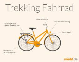 Welcher Fahrradtyp Passt Zu Mir Markt De