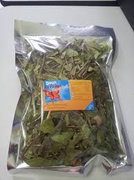 Pokok daun re'rama @ daun re'rama atau lebih dikenali sebagai red butterfly wings merupakan sejenis tumbuhan ya.ng tumbuh di rantau asia. Herba Adalah Penawar Pelbagai Penyakit Daun Rerama Hijau Asli Penawar Segala Jenis Kanser Dan Penyakit Kronik 100 Organik