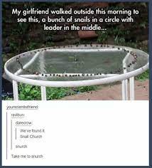 This Weird Meeting Tumblr Funny Stupid Funny Memes Funny Pictures