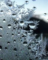 Oak bench/oak bed end bench/seating dining bench with wooden oak legs. Short Takes Persimmon Tree