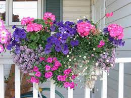 Pin By Dee Preston On Gardening Container Flowers Window Box Flowers Container Gardening Flowers