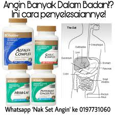 Bagaimana cara untuk membuang angin yang banyak dalam tubuh badan kita. Cara Buang Angin Dalam Urat Cara Urut Buang Angin Dalam Badan Wulan Salah Satu Cara Yang Mudah Ialah Dengan Greasky