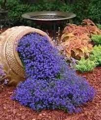Resultado De Imagem Para Flores Rasteiras Para Jardim Jardins Pequenos Jardim Jardinagem