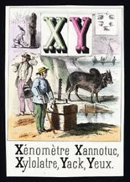 Â, ê, î, ô, û. Antique Print French Alphabet Letter X And Y Yak Eyes 1850 Ebay