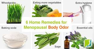 Pin On Menopause Symptoms Oh Dear Home Remedies