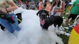 2026 Pupstock ™ Festival