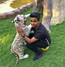 Dua bayi panda kecil, lahir pada senin sekitar pukul 01.00 dini hari waktu setempat, datang untuk menambah koleksi panda beauval, yang. Anak Miliarder Dubai Punya Kebun Binatang Pribadi Di Rumah Dunia Tempo Co