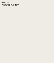 White Paint Colour