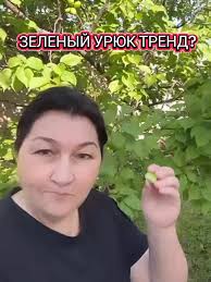 Урюк Зеленый С Куртом