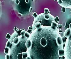 However, one vaccine has been licensed in the us against monkeypox and smallpox. Sjpd Ylhb7reom