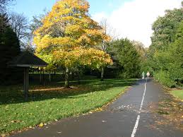 Rouken Glen Park Glen Park Country Roads Photo