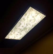 Party planning professionals give you free party ideas. Decorative Fluorescent Light Covers Wild Country Fine Arts