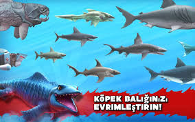 Hungry Shark Evolution 8 2 0 Para Hileli Mod Apk Indir Apk Dayi Android Apk Indir