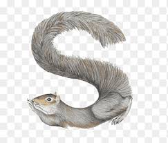 Wenn sie komplizierte begriffe oder eigennamen per funk oder telefon fehlerfrei übermitteln wollen, sollte sie das buchstabieralphabet zur hilfe nehmen. Letter Alphabet Name W Simple Squirrel Letter S Mammal Animals Png Pngegg