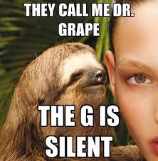40 Best Sloth Meme Meme Central