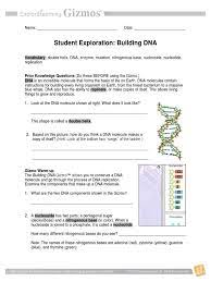 You can see it on their faces as they understand. Building Dna Dna Replication Dna