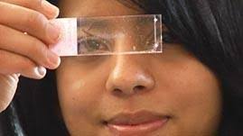 Career Profile: Research Assistant Sandra Bustamante