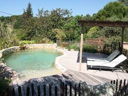 maison provencale emplacement de reve avec piscine naturelle alpes maritimes homelidays maison provencale locations vacances piscine
