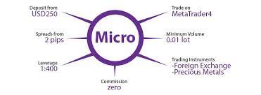 Affordable Forex Micro Account 2015 Accounting Forex Micro