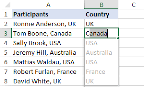 Flash Fill In Excel 2019 2016 And 2013 With Examples