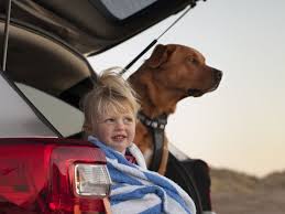 column here are the best current cars for dogs subaru outback road trip with dog subaru pinterest