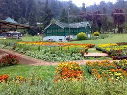 Ooty Wallpapers Top Free Ooty Backgrounds Wallpaperaccess Ooty hill station is the kind of pleasant jolt individuals need to break away the rut of life with the oomph factor the place is surrounded with rubbing off the same glory to its name as well. ooty wallpapers top free ooty