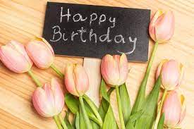 Maybe you would like to learn more about one of these? 16 758 Tulips Happy Birthday Photos Free Royalty Free Stock Photos From Dreamstime