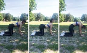 Cow cat is one of the normal cats , and a fast cat in both attacking and speed. Yoga For Runners Cat Cow Ubung Gegen Verspannungen Achilles Running