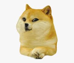 Download free dog png images. Baby Doge Hd Png Download Transparent Png Image Pngitem
