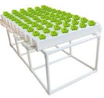 Wholesale NFT Hydroponic Gully System Flexible Design & Food ...