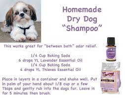 Pin By Theresa Dyra On Dogs Dry Dog Shampoo Dog Shampoo Shampoo