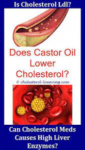 How Much Cholesterol In Hamburger Patty Cholesteroldefinition Can Protein Shakes Give You High Lower Cholesterol Low Cholesterol Recipes Low Cholesterol Diet