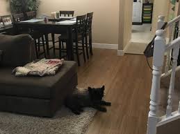 Where can i find a close match with a discontinued product? Flooring Discontinued What Now