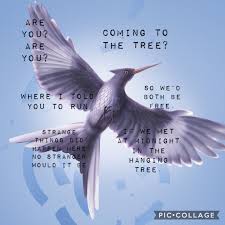 If We Met At Midnight In The Hanging Tree Pin On Hunger Games
