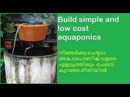 Build A Simple And Low Cost Aquaponics In Malayalam Youtube