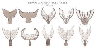 Xelgot Mermaid Merman Tail Chart By Xelgotthis Chart Was