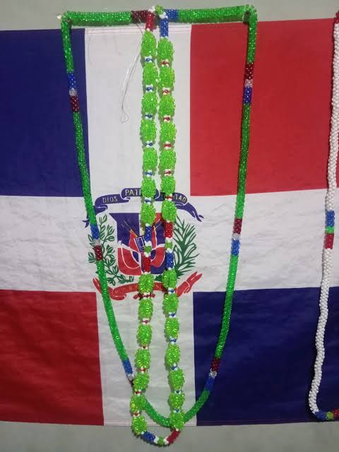 de los 4 colores patrióticos cuál es tu preferido? el mío es el 💚 #patria #papacaballo💚 #trinitarios💚 #duarte #dominicana🇩🇴 #semanasanta2025
