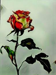 Konten ini akan memberikan gambar bunga yang cantik seperti bunga mawar, melati, hingga camelia. Seni Digital Saya 01 02 2019 Setangkai Bunga Mawar Steemit