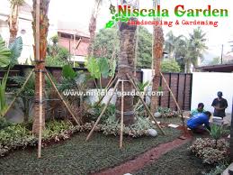 Kami trisna alam merupakan suatu di bidang jasa profesional di bidang design dan pembuatan taman di mojokerto, kami mengerjakan taman rumah, taman minimalis, taman kantor maupun tan jalan trotoar, kami selalu di dukung dengan tenaga atau team yang sudah sangat profesional di bidang landscape, kami selalu siap memberikan pelayanan yng. Jasa Tukang Taman Mojokerto