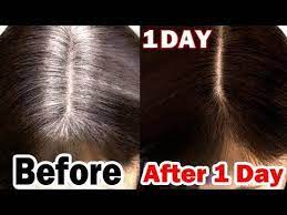 Pin By Guadalupe Ruiz On Peinados White Hair Black White Hair Jet Black Hair