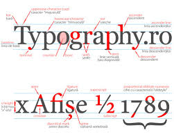Typography One Typography Anatomy Of Letterforms